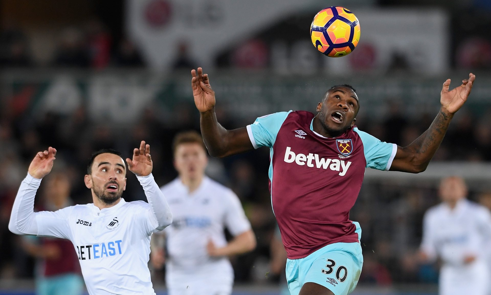 如果你是垂 如果你是垂