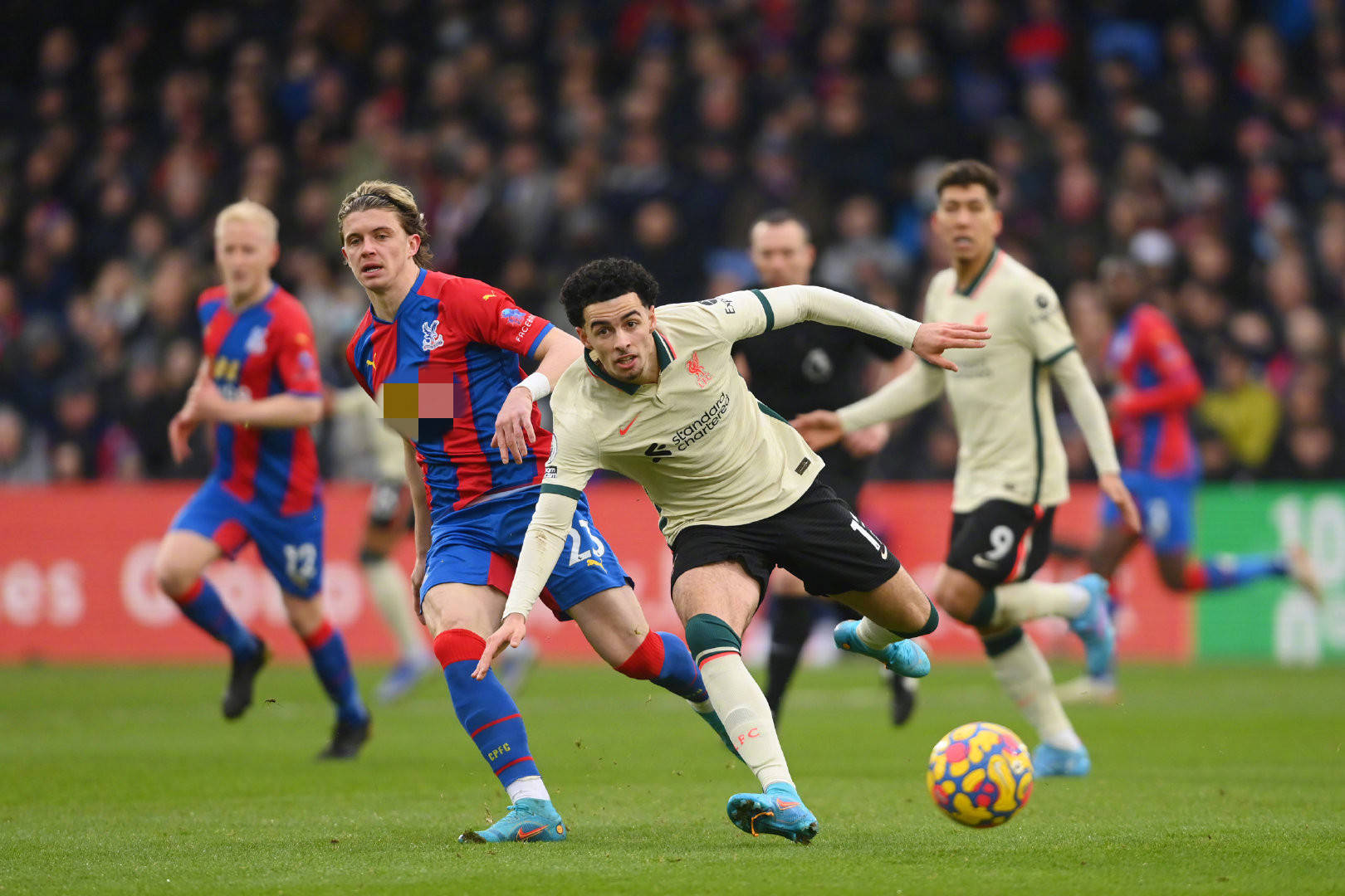 而最终决定 而最终决定